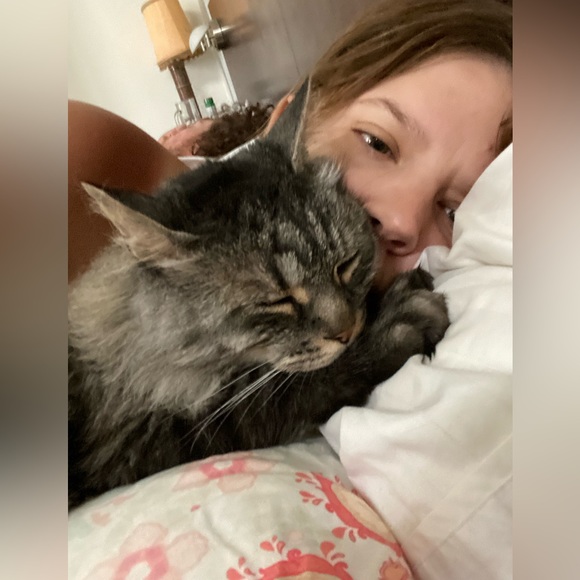 Meet your Posher, Barbara - Picture 5 of 9